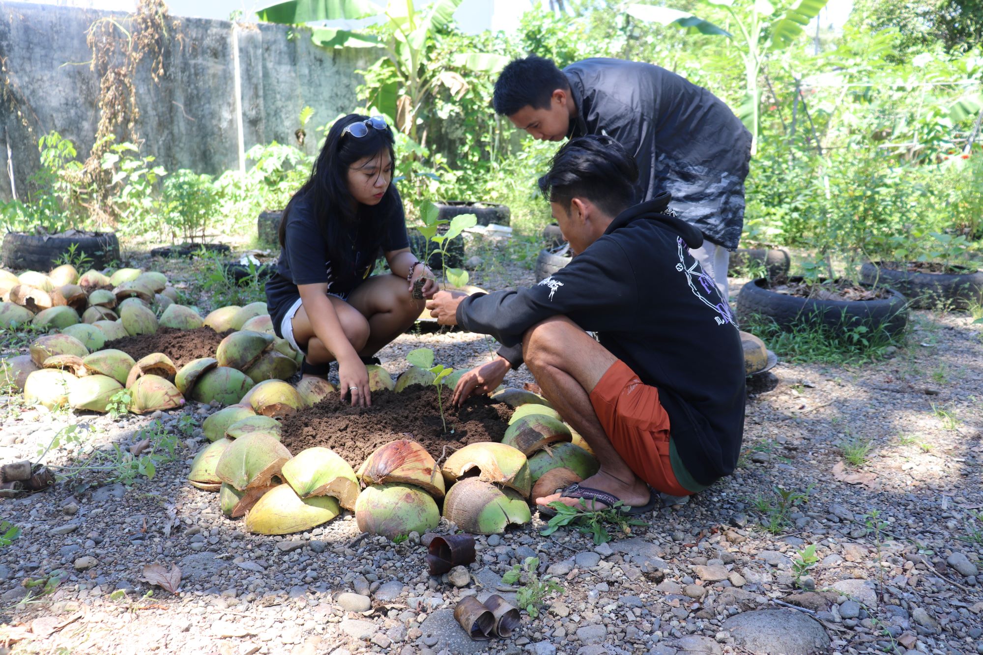 Jongeren van St. Pio Youth Angels planten lokong: zaailingen in biomest en bananenbladen.