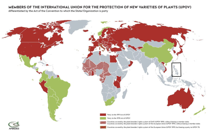 Landen aangesloten bij de UPOV. Door de Filipijnse aansluiting bij het vrijhandelsakkoord RCEP zal mogelijks aansluiting bij de UPOV volgen.