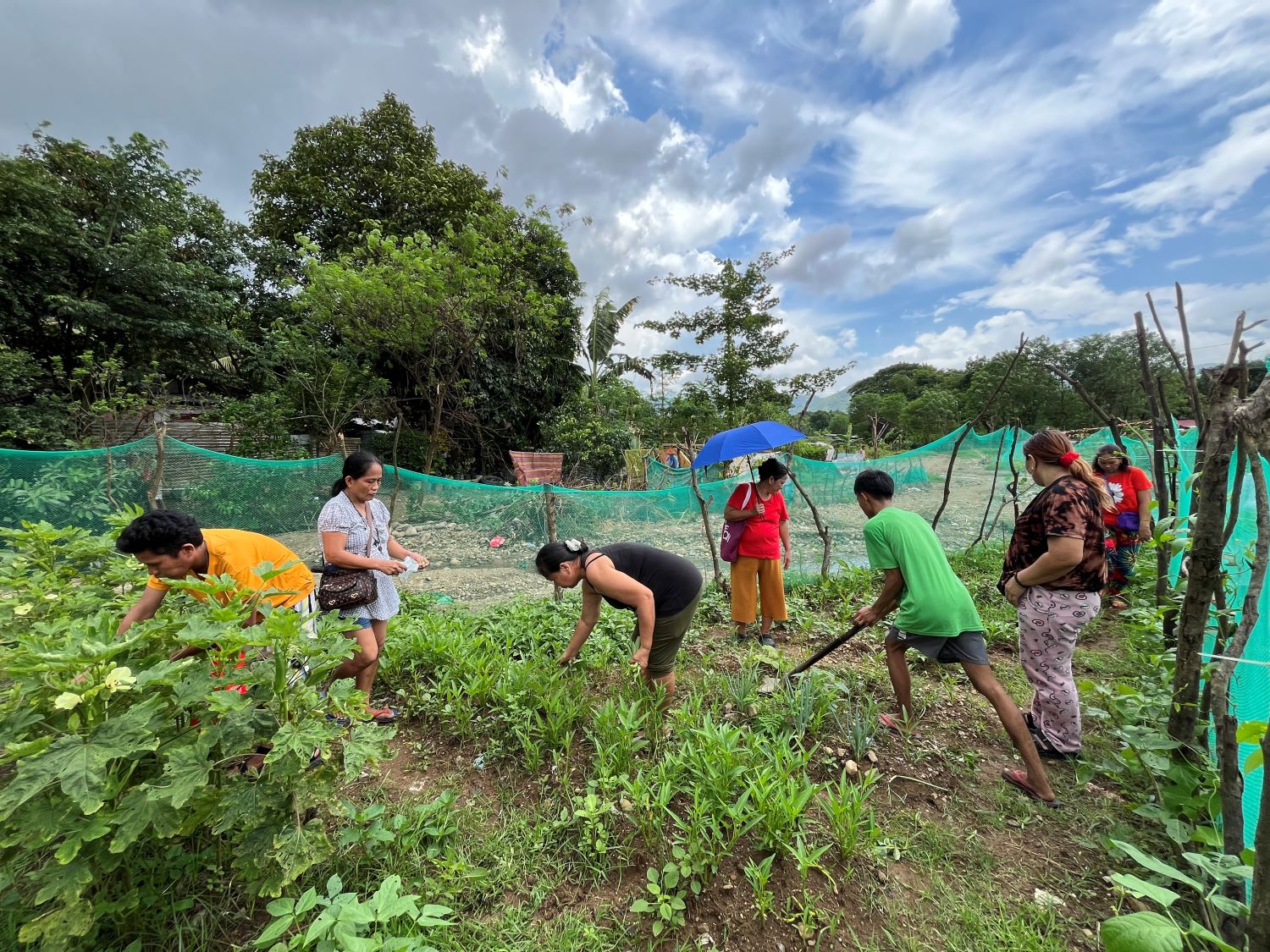 Tanimang Bayan Sitio Bakal Aug 2024 PNFSP _ kleiner.jpg