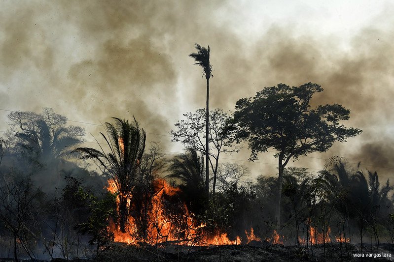 Een brandend bos in Bolivia. Foto van 2019, CC BY-NC-ND 2.0 EU Civil Protection and Humanitarian Aid 2019.jpg