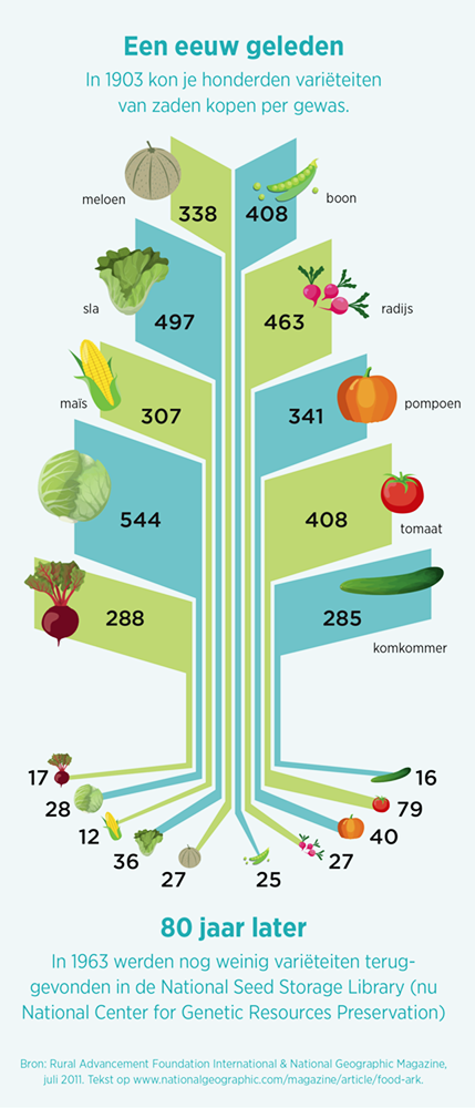 De afname van onze voedseldiversiteit.